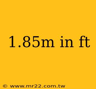 1.85m in ft