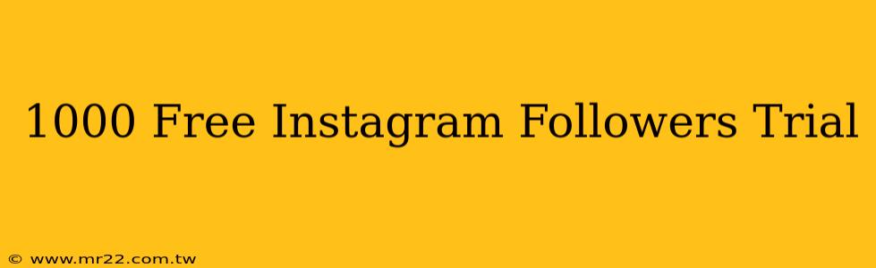 1000 Free Instagram Followers Trial