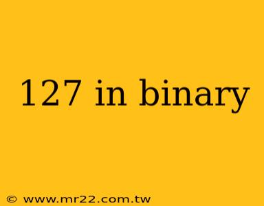 127 in binary