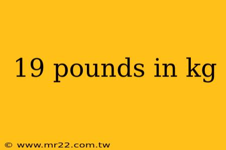 19 pounds in kg