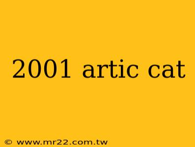 2001 artic cat