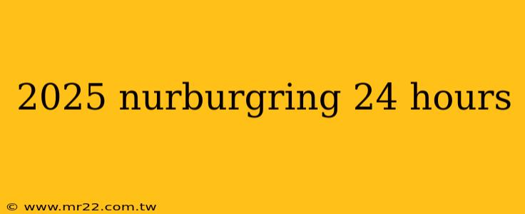2025 nurburgring 24 hours