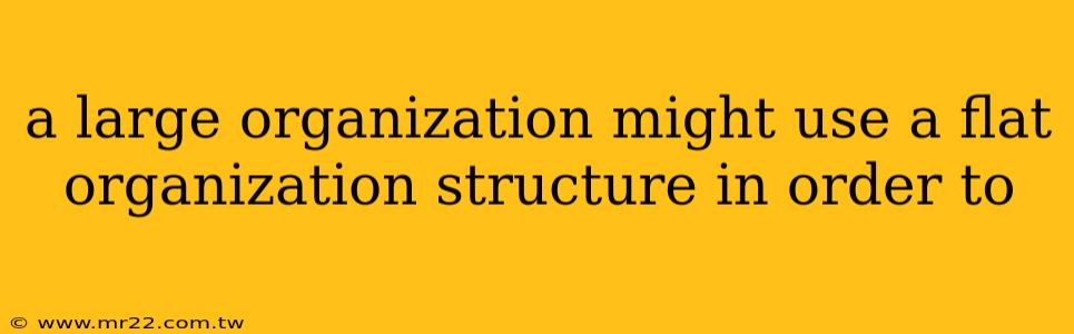 a large organization might use a flat organization structure in order to