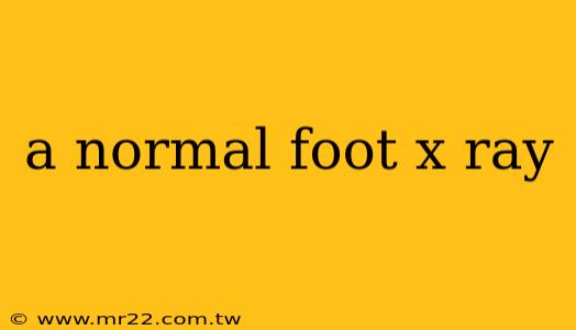 a normal foot x ray