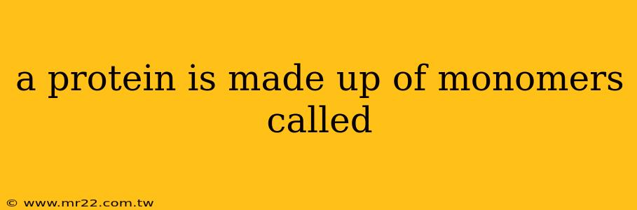 a protein is made up of monomers called