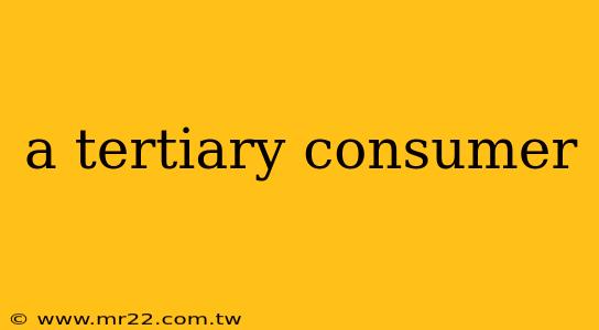 a tertiary consumer
