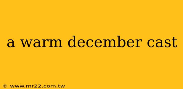 a warm december cast