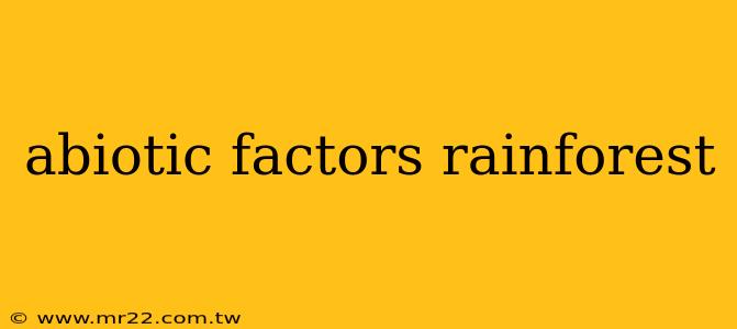 abiotic factors rainforest