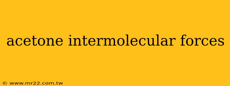 acetone intermolecular forces