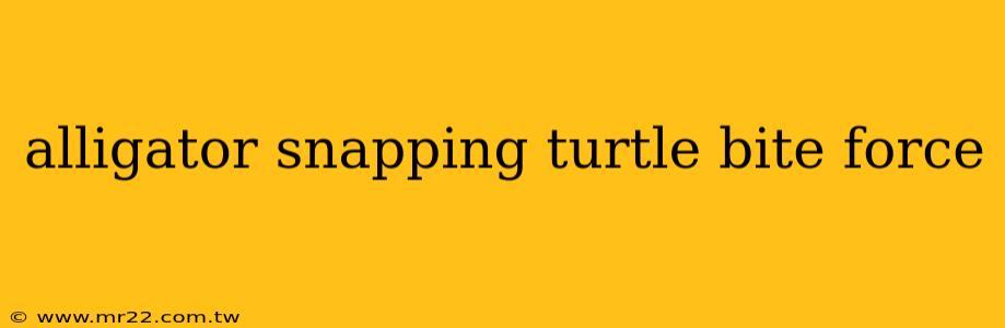 alligator snapping turtle bite force