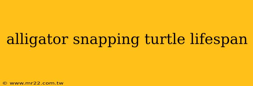 alligator snapping turtle lifespan
