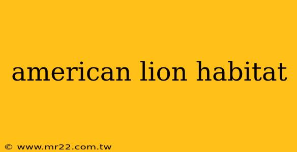 american lion habitat