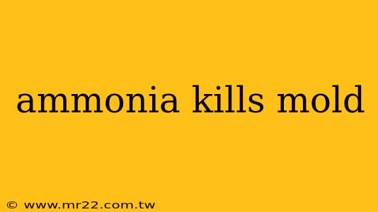 ammonia kills mold