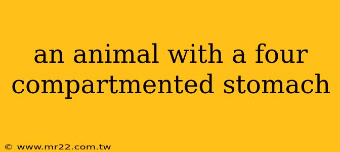 an animal with a four compartmented stomach