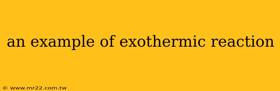 an example of exothermic reaction