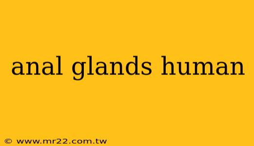 anal glands human