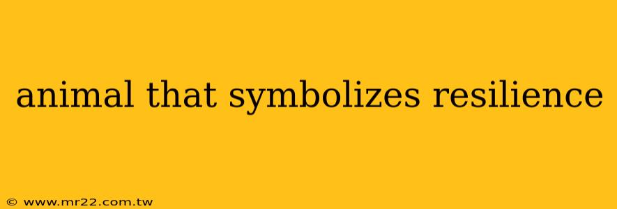 animal that symbolizes resilience