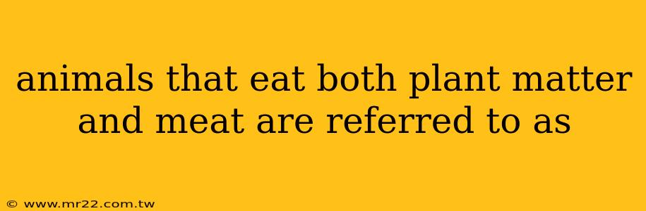 animals that eat both plant matter and meat are referred to as