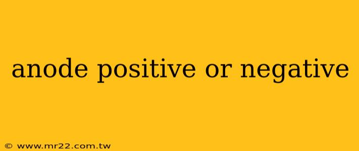 anode positive or negative