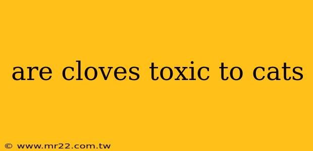 are cloves toxic to cats