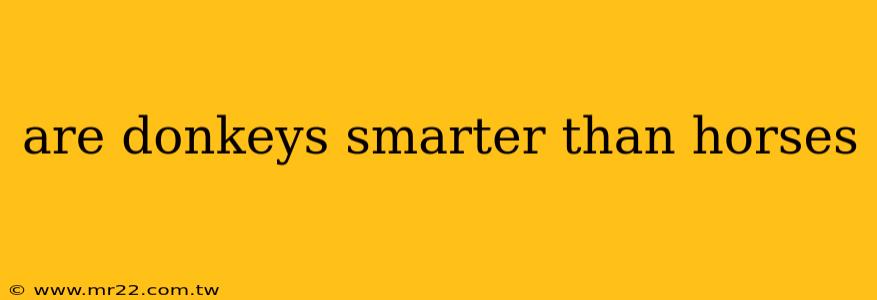 are donkeys smarter than horses