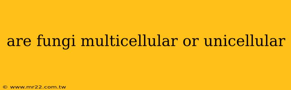 are fungi multicellular or unicellular