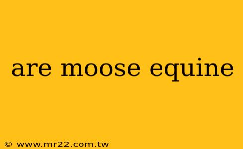 are moose equine