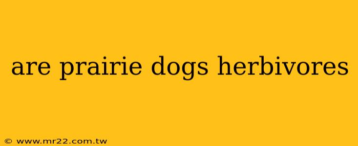 are prairie dogs herbivores