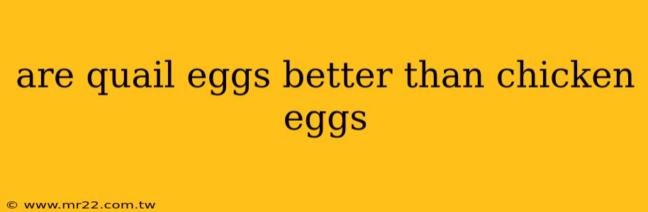are quail eggs better than chicken eggs