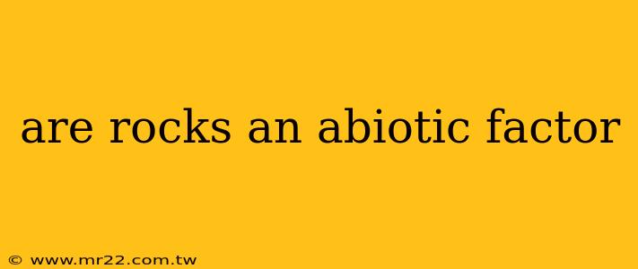 are rocks an abiotic factor