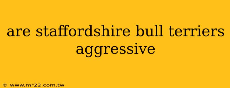 are staffordshire bull terriers aggressive