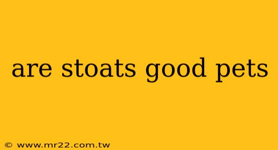are stoats good pets