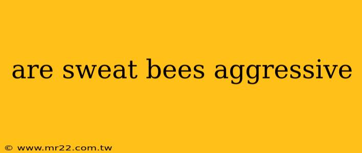 are sweat bees aggressive