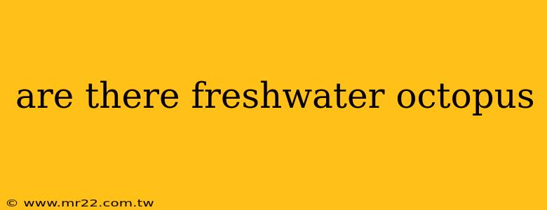 are there freshwater octopus