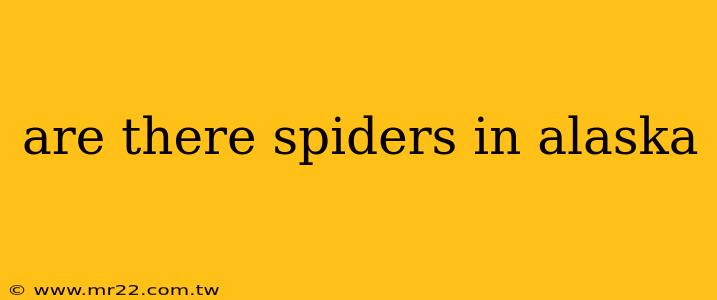 are there spiders in alaska