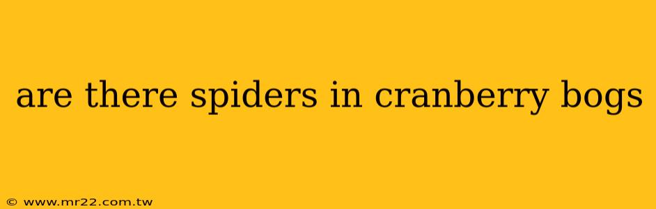 are there spiders in cranberry bogs