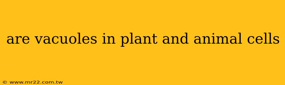 are vacuoles in plant and animal cells