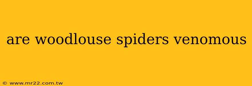 are woodlouse spiders venomous