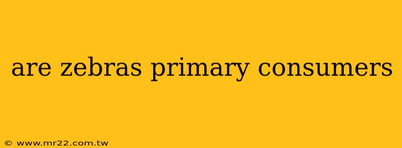 are zebras primary consumers