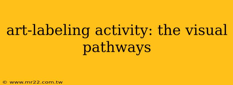 art-labeling activity: the visual pathways