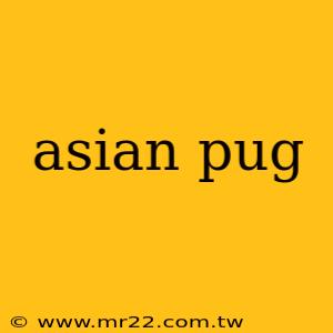 asian pug