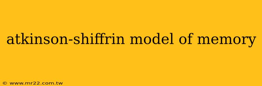 atkinson-shiffrin model of memory