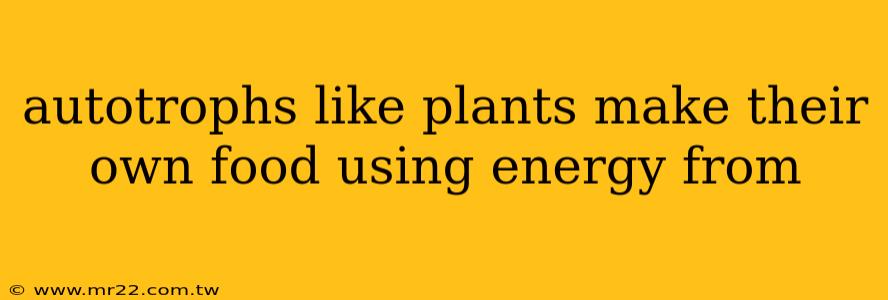 autotrophs like plants make their own food using energy from
