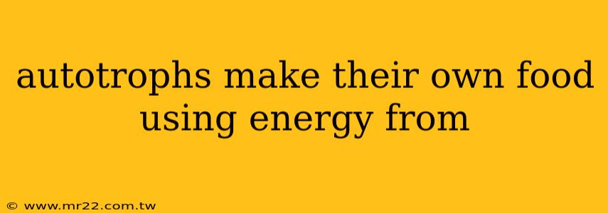 autotrophs make their own food using energy from