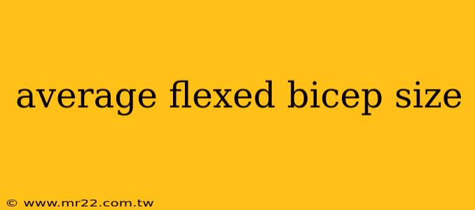 average flexed bicep size