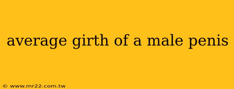 average girth of a male penis