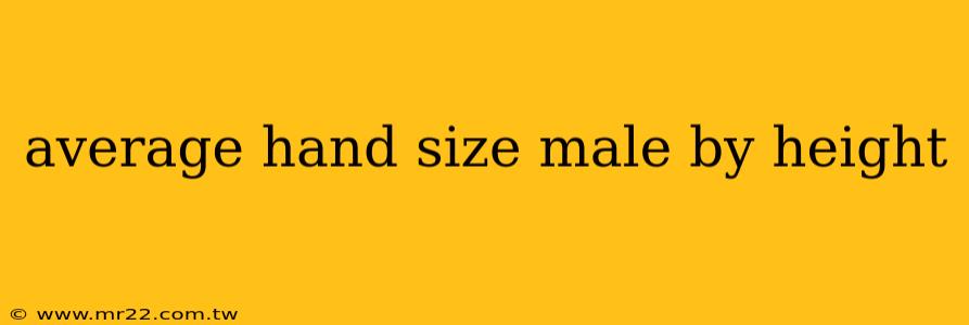 average hand size male by height