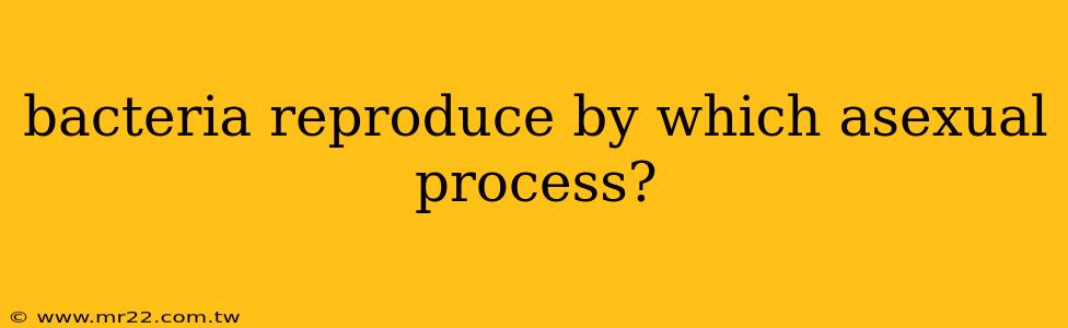 bacteria reproduce by which asexual process?