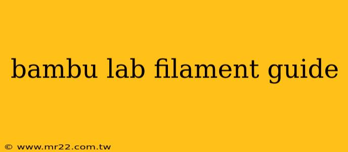 bambu lab filament guide