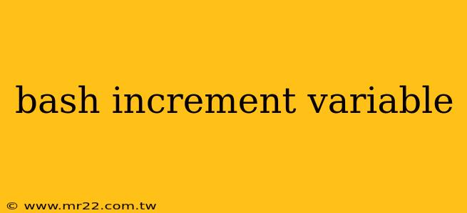 bash increment variable